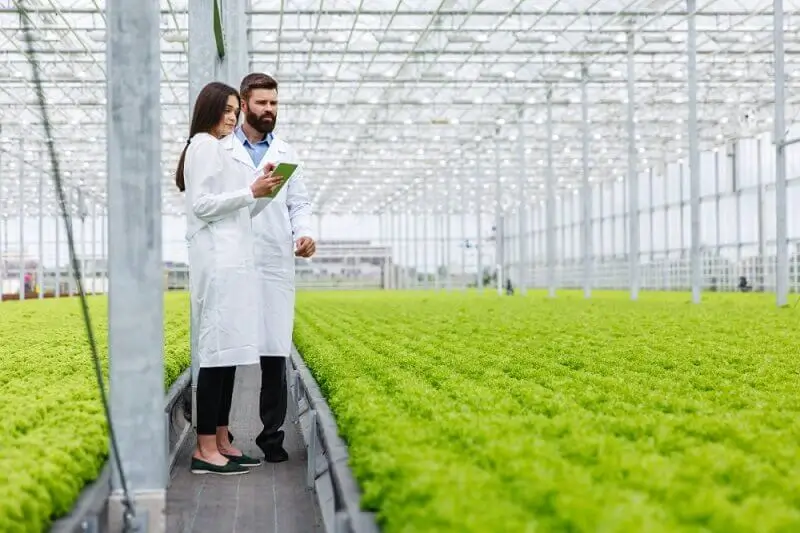A woman and a man wearing lab coats are examining plants and recording data about the vertically grown crops.