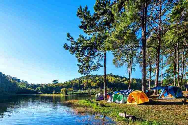Scenic camping spots near Toronto with lush green forests